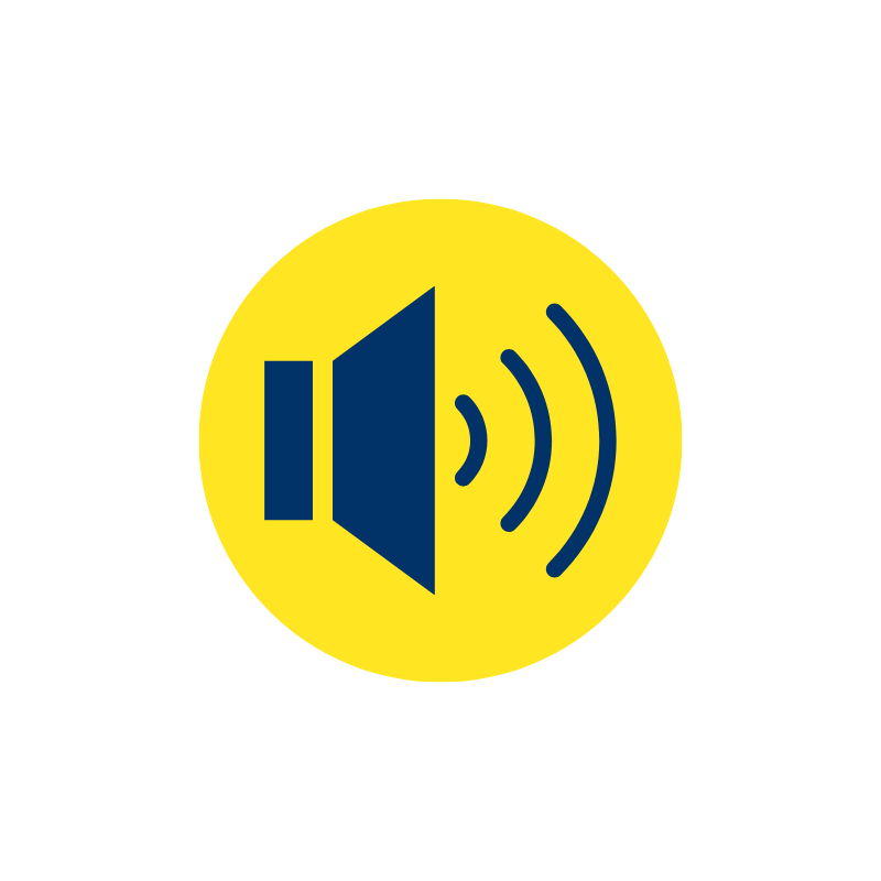 Custom Icon